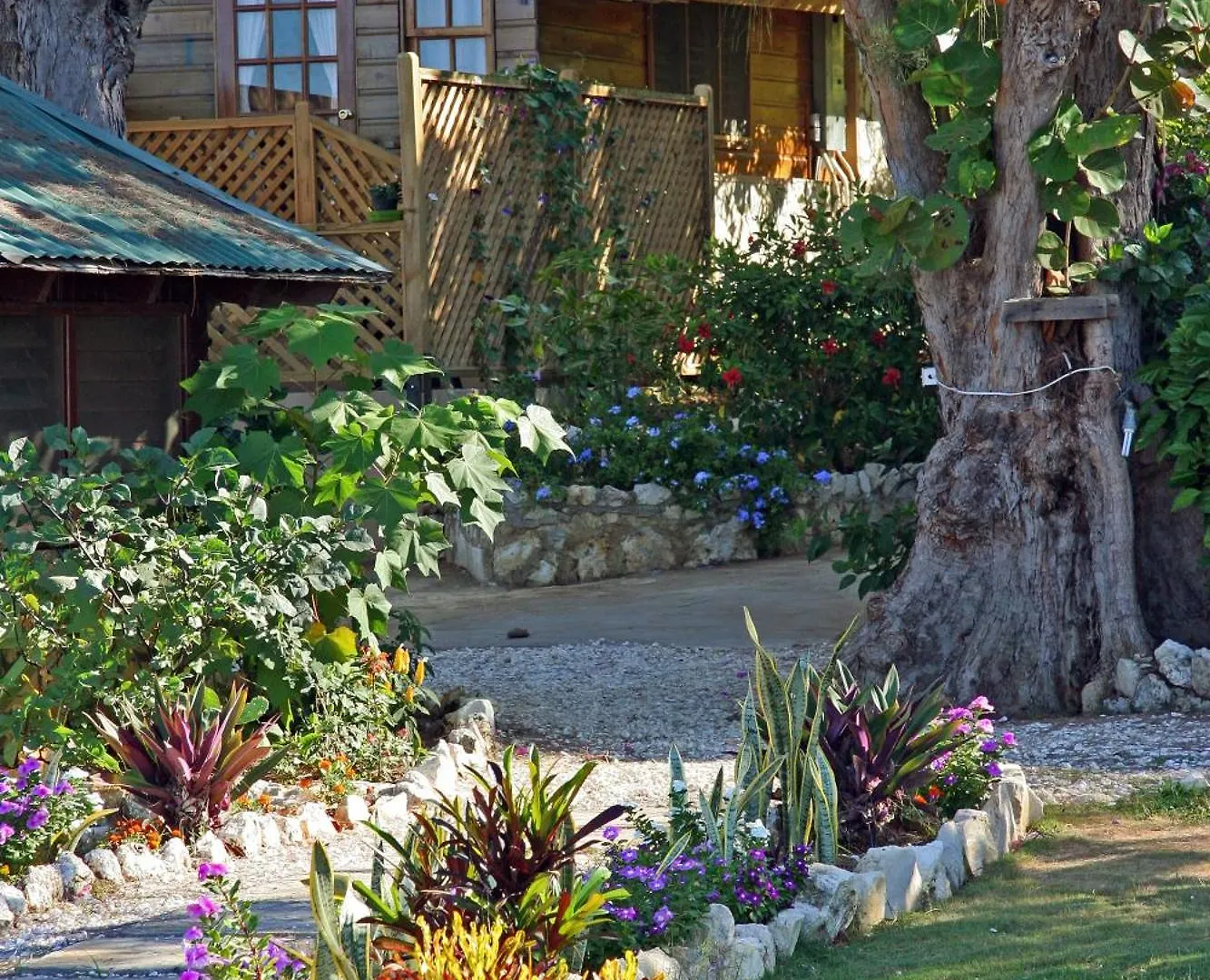 Catcha Falling Star Negril Hotel